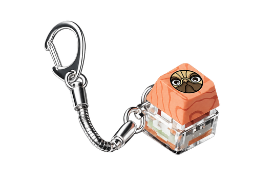 מחזיק מפתחות CYC
